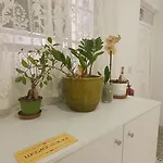 Sea Esta 梅利哈