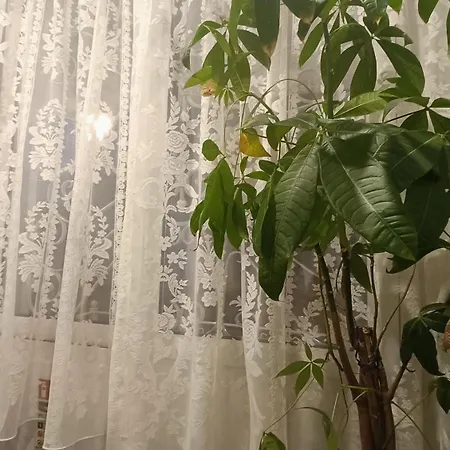 Sea Esta בית הארחה *